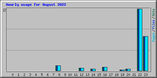 Hourly usage for August 2022