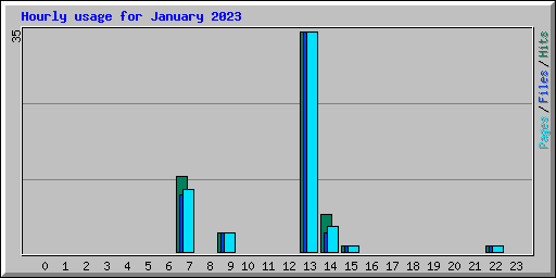 Hourly usage for January 2023